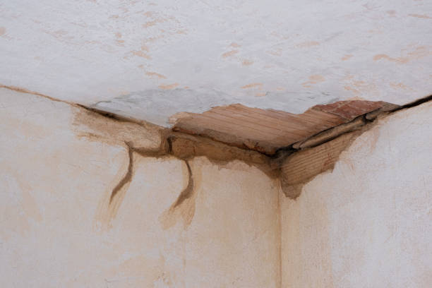 Best Water damage restoration near me  in Millersburg, OH
