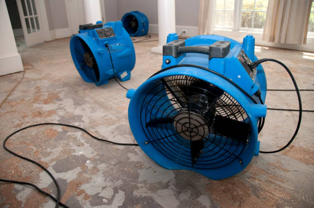 Best Emergency water extraction  in Millersburg, OH