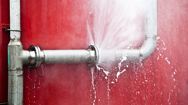 Best Water damage cleanup near me  in Millersburg, OH